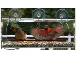 window mounted bird feeders